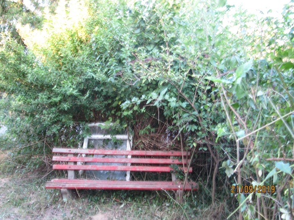 IMG 5554