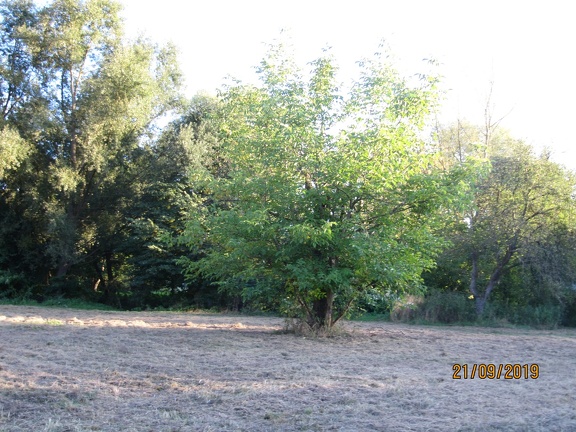 IMG 5555
