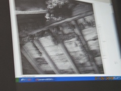 IMG 5245