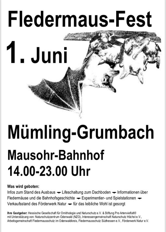 mausohr bahnhof 20190601